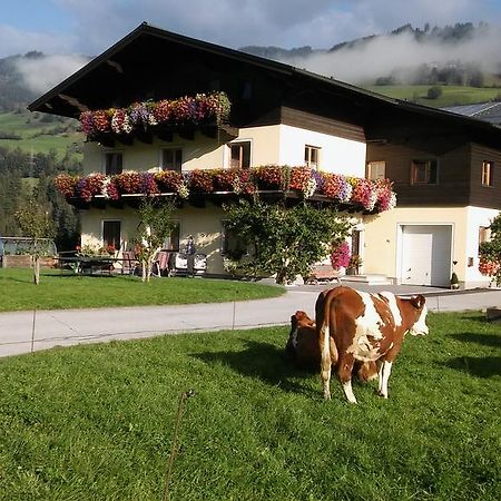 Rieserhof/Fam. Meissnitzer Taxenbach Zewnętrze zdjęcie