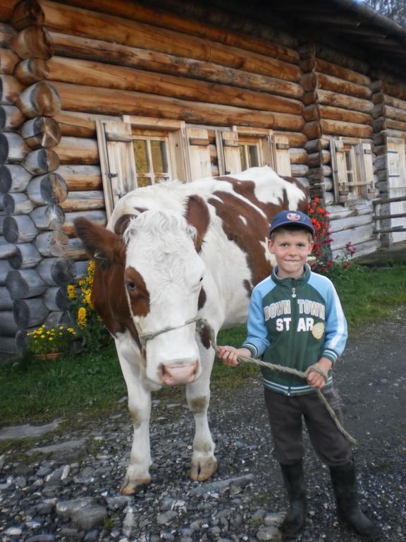 Rieserhof/Fam. Meissnitzer Taxenbach Zewnętrze zdjęcie